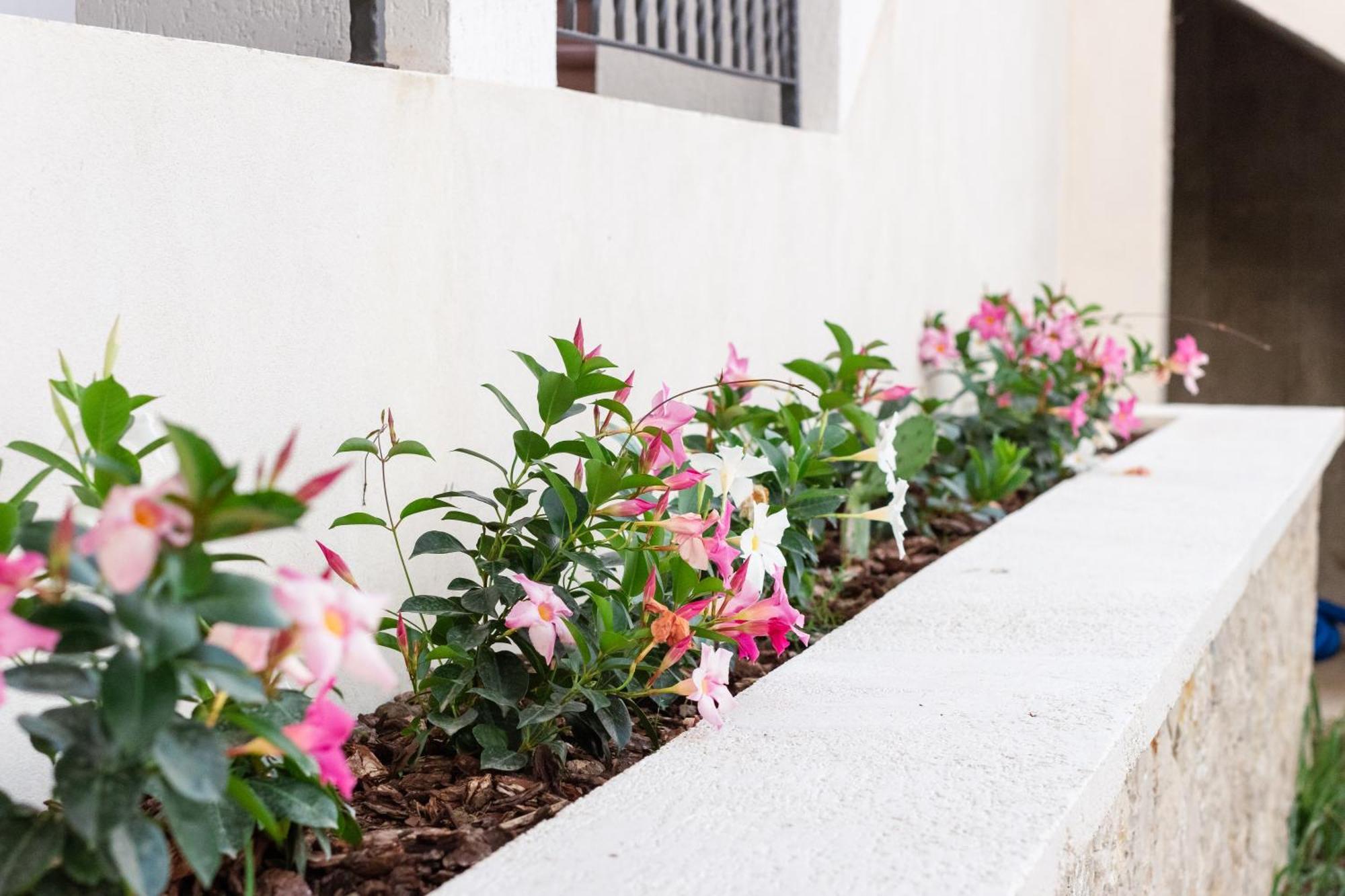 Apartments Kan أولتْسي المظهر الخارجي الصورة